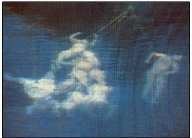 655-bodies-under-water